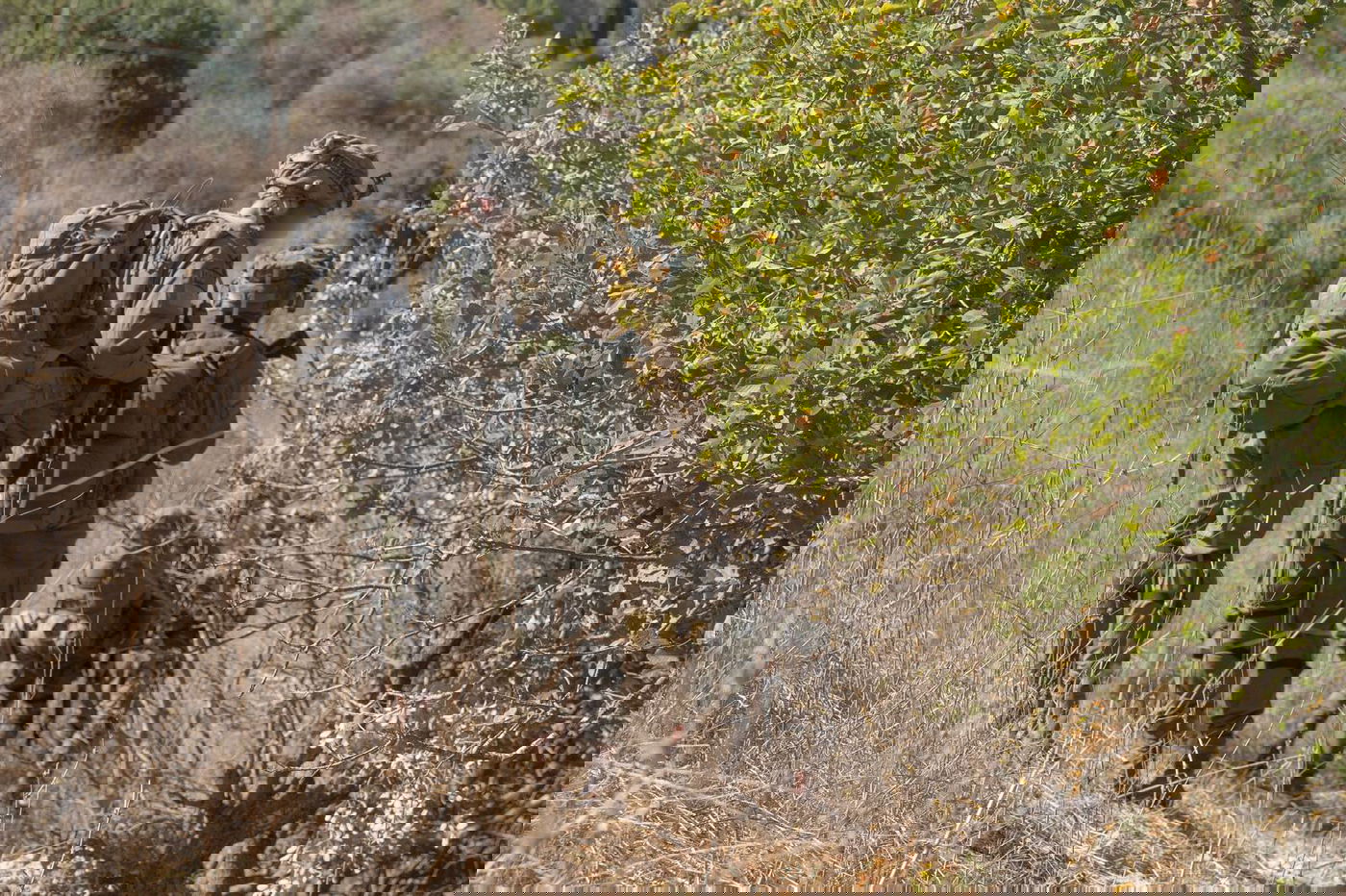 כובשים יעדים חדשים בדרום לבנון | תיעוד מפעילות הקומנדו