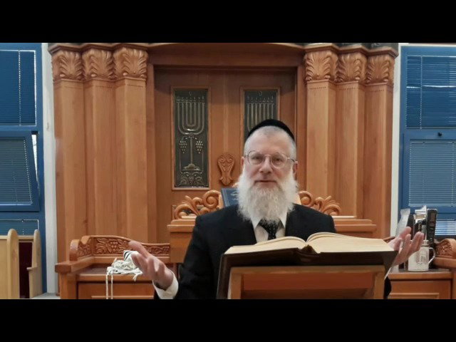 הרב אברהם יוסף שוורץ על פרשת וירא