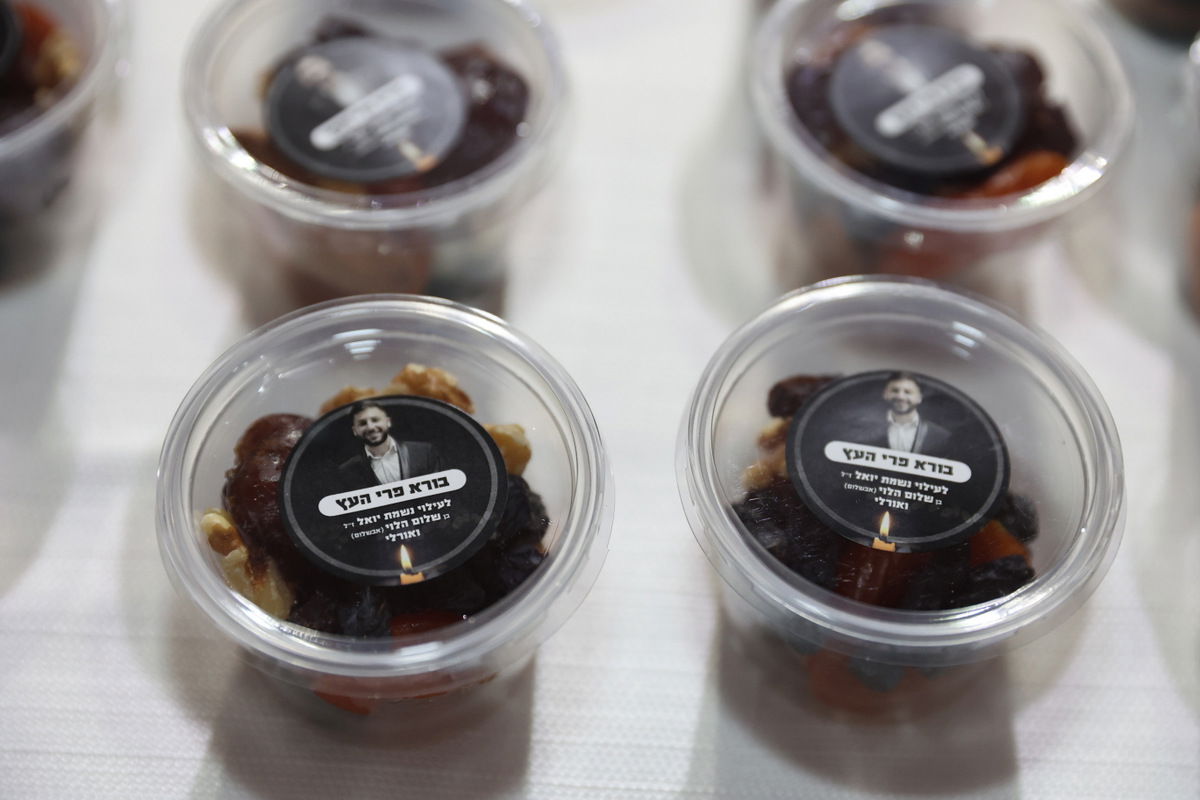 שלושים להסתלקותו הטראגית של ד"ר יואל לבייב ז"ל