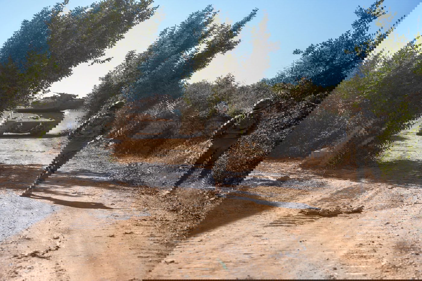 פעילות הכוחות בלבנון