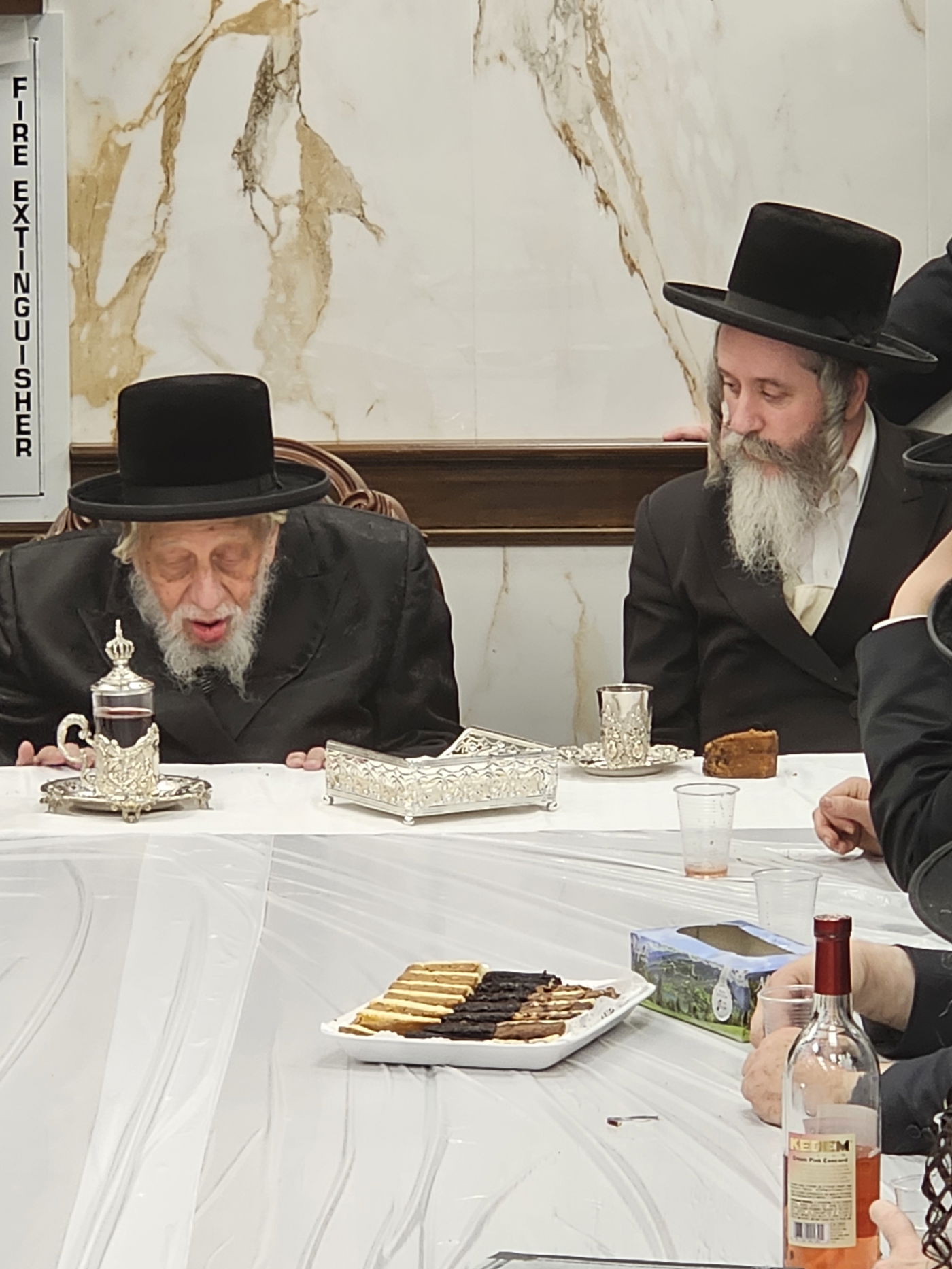 האדמו"ר מקופיטשניץ בביקור בארה"ב