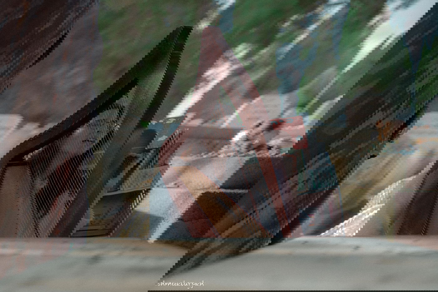 העליה לקבר רבי שלמה קרליבך ביום השנה ה-30 לפטירתו