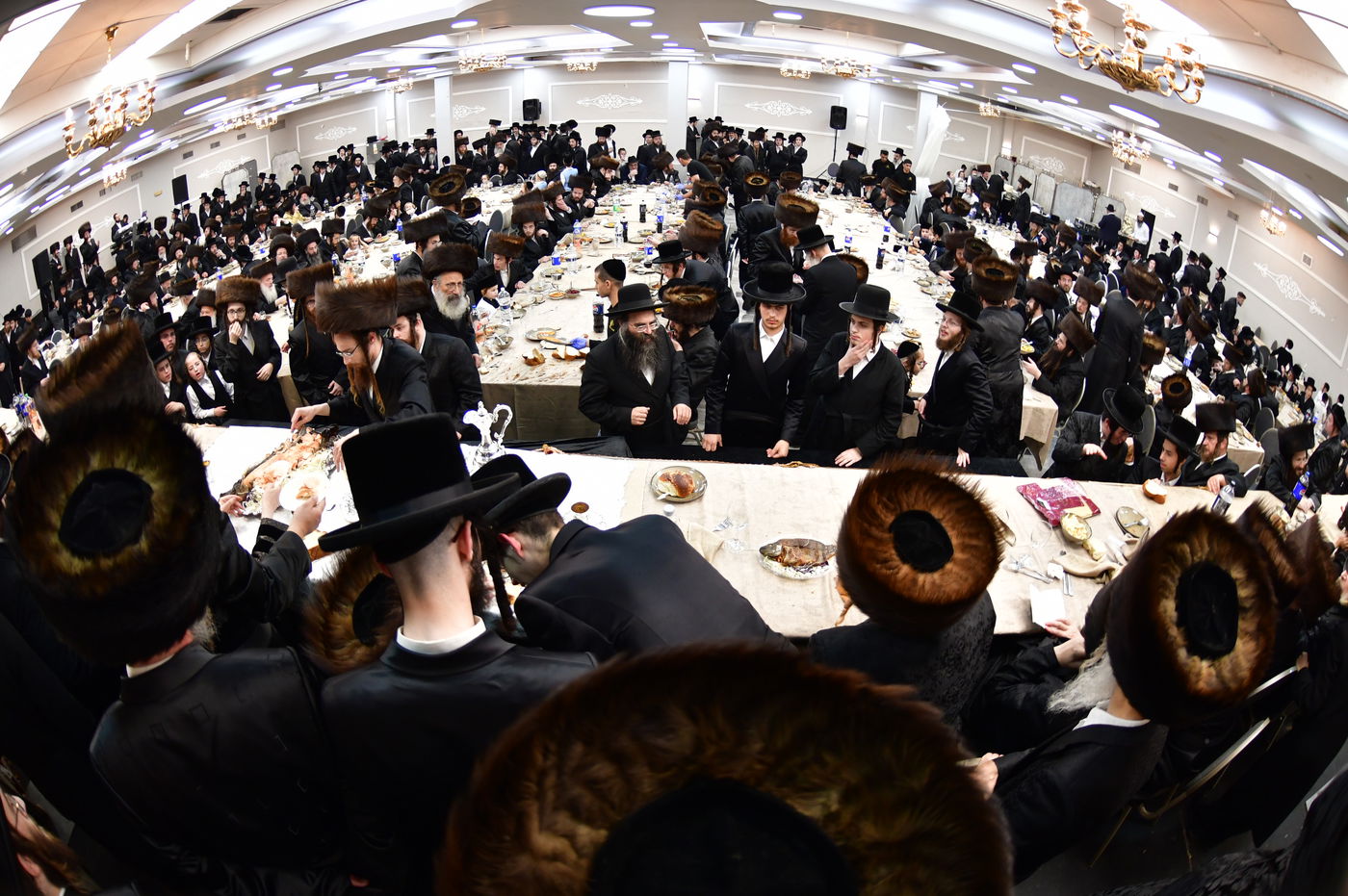 שמחת נישואי בת האדמו"ר משומרי אמונים אשדוד, עב"ג נכד האדמו"ר מלויעב טשערנוביל