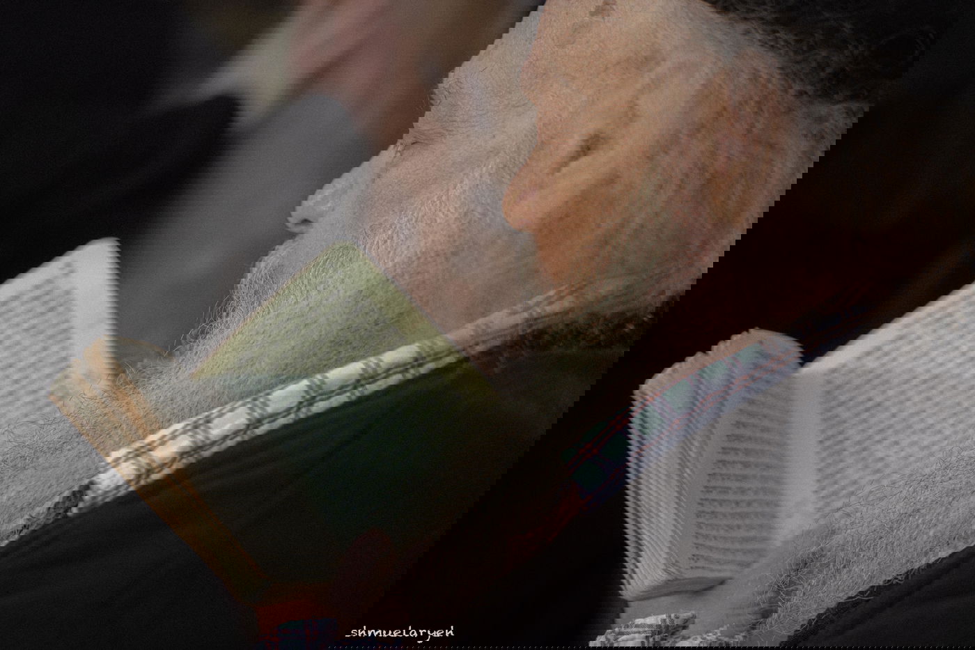 העליה לקבר רבי שלמה קרליבך ביום השנה ה-30 לפטירתו