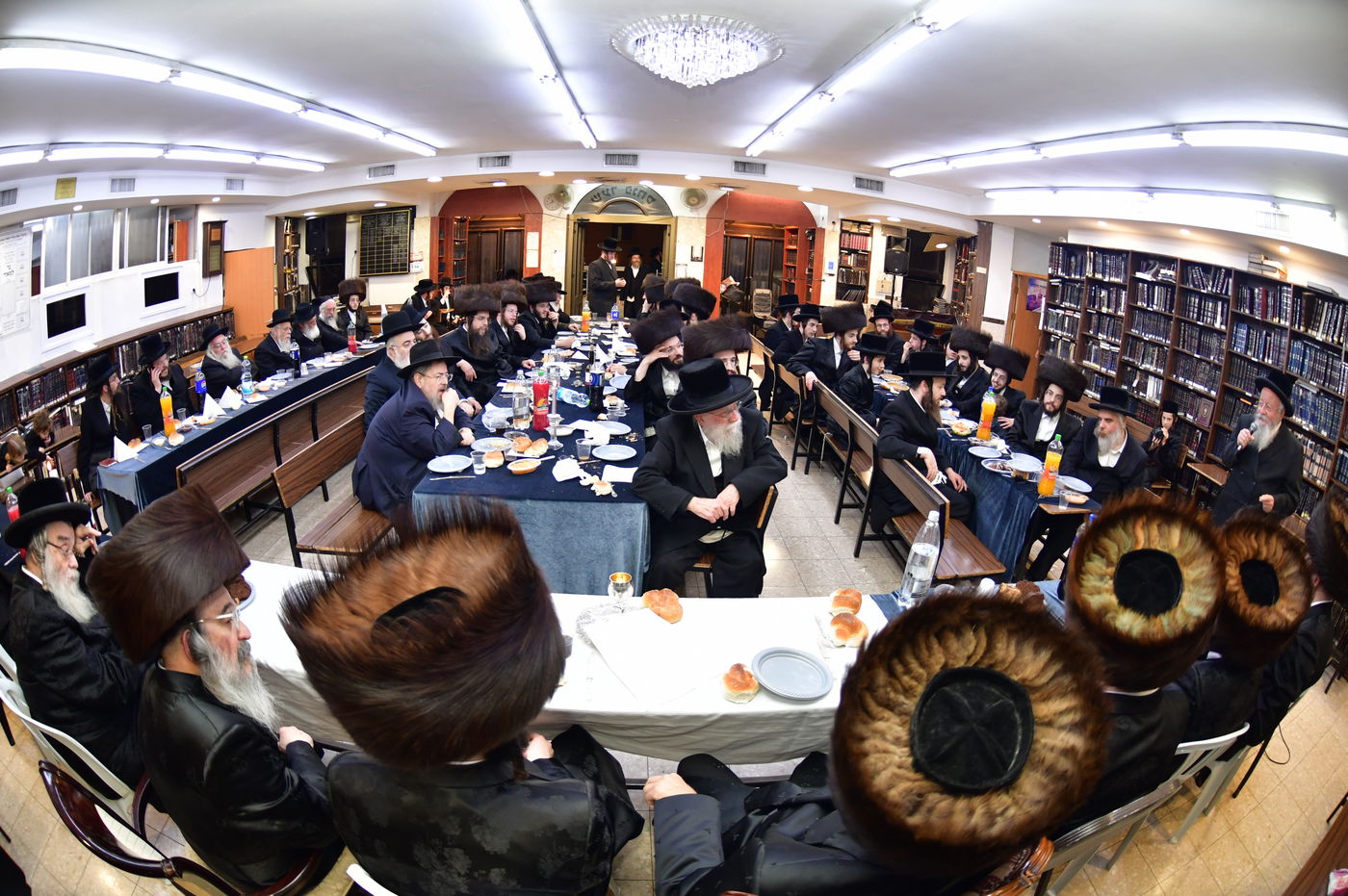 שמחת השבע ברכות בחצרות 'מאור החיים' - פיטסבורג 