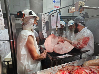 האדמו"ר מסאטמר בביקור בבית שחיטה באורגוואי | ארכיון לתמונה אין קשר לנאמר בכתבה