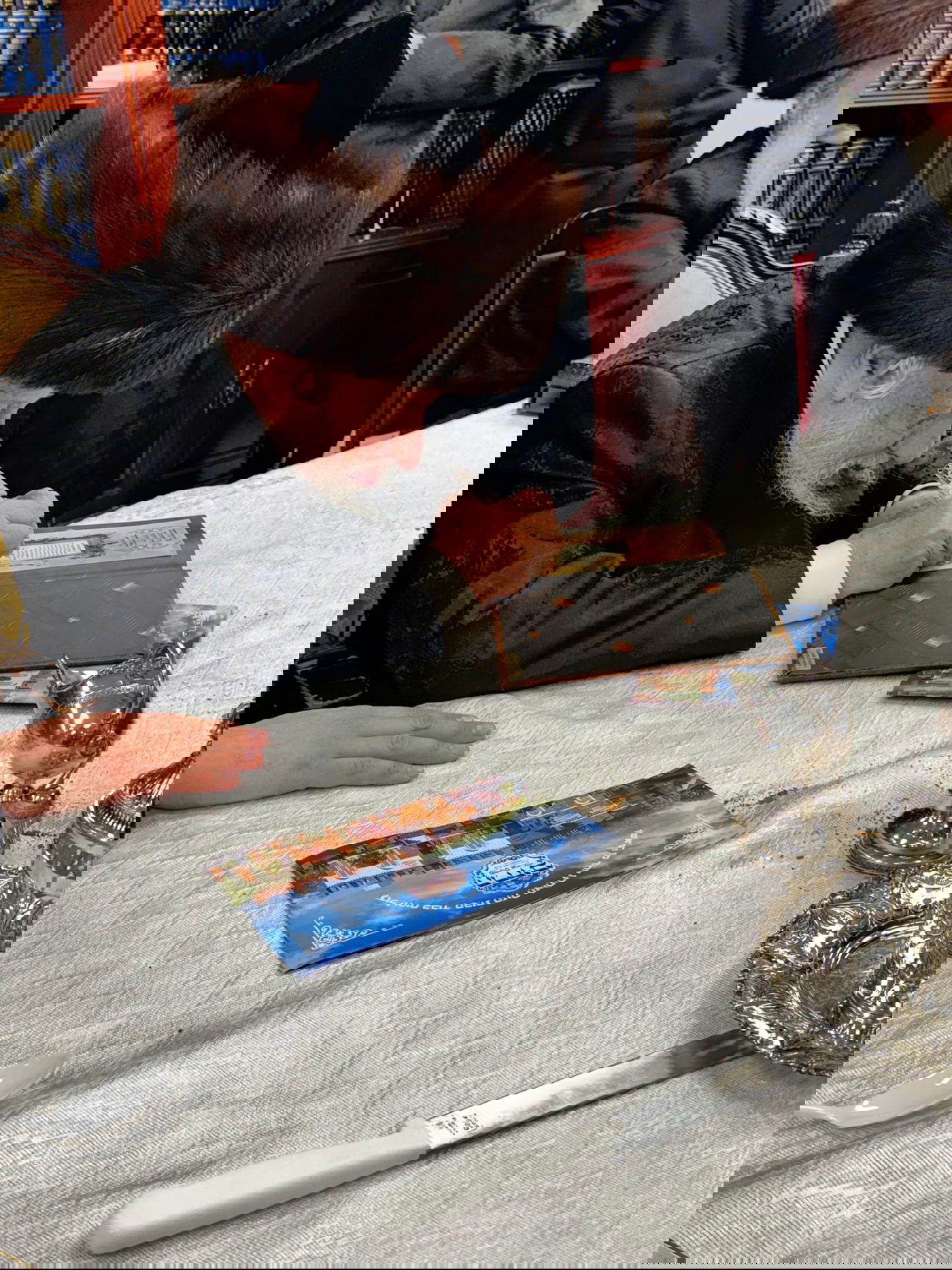 האדמו"ר מקופיטשניץ בארה"ב