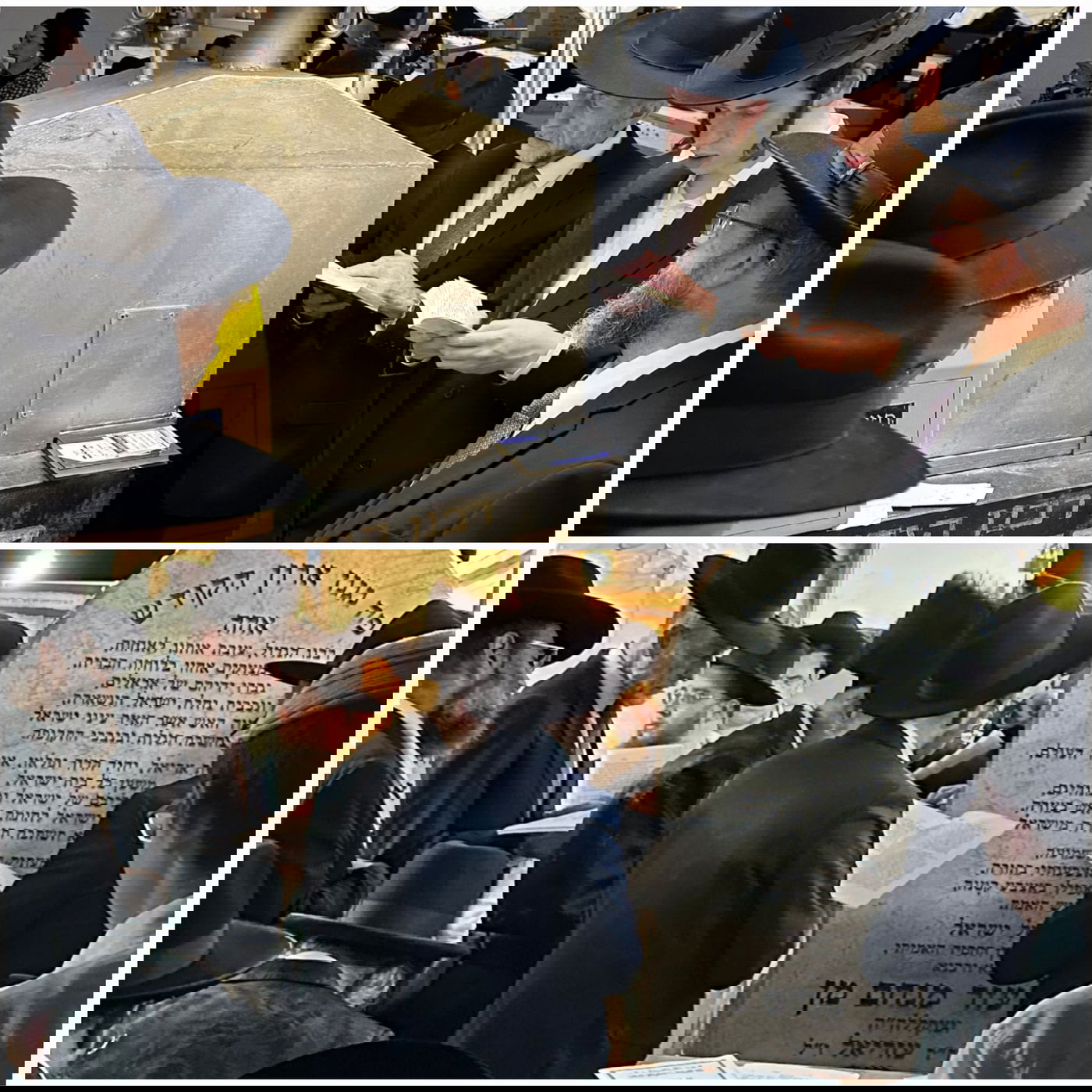 זופניק בכיכר • כל התמונות, הנייעס והחשיפות של השבוע