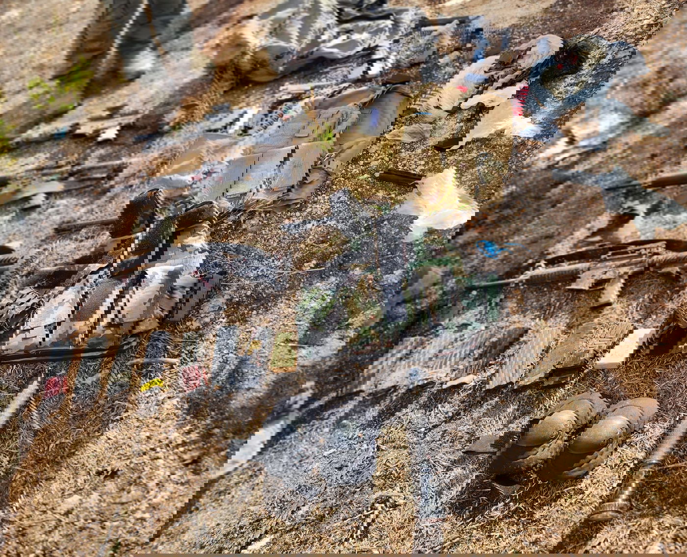 הסיוט של כל מחבל: נוהל "סיר לחץ" הופעל על מחבלים בג'נין