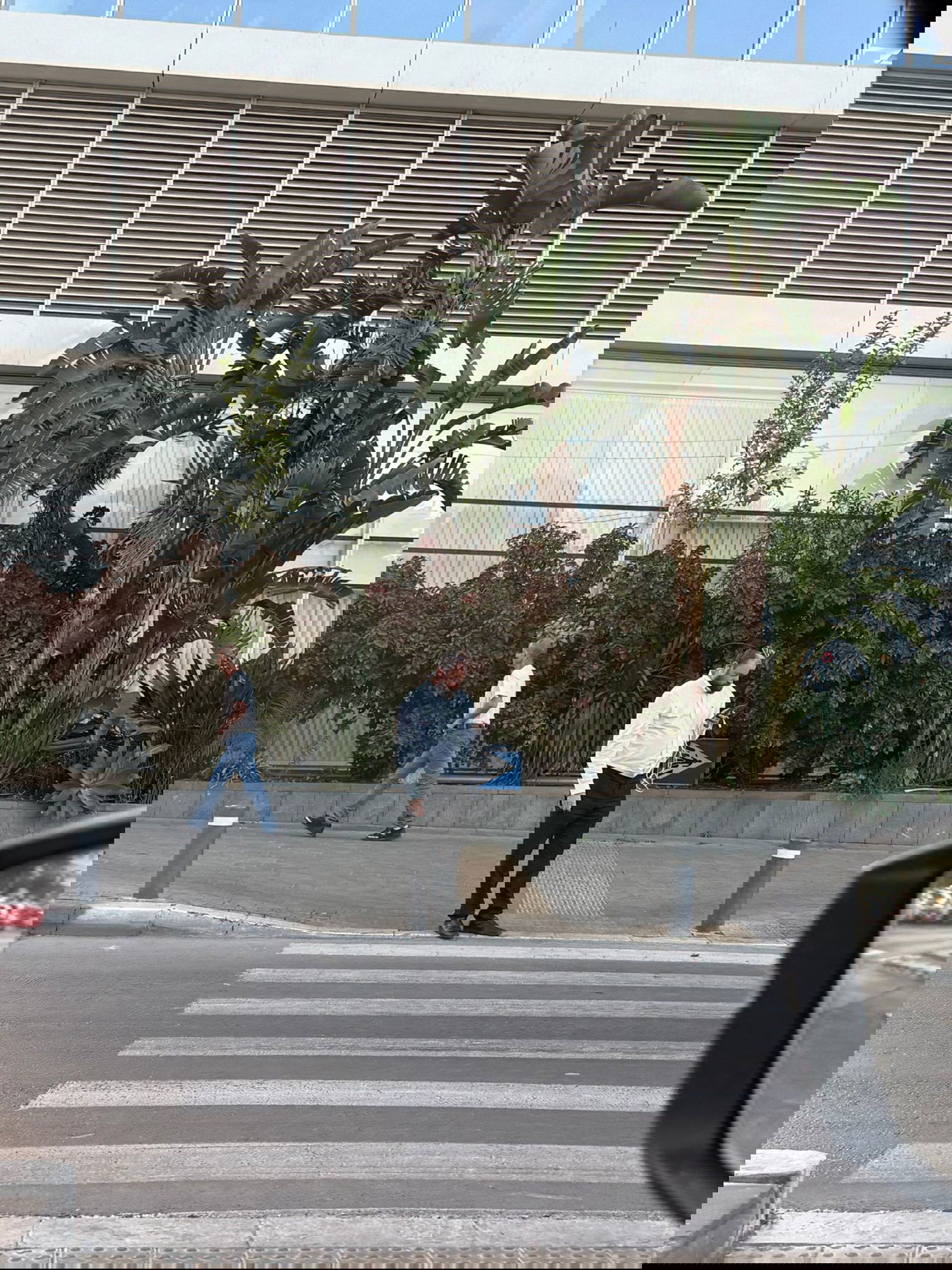 זופניק בכיכר • כל התמונות, הנייעס והחשיפות של השבוע