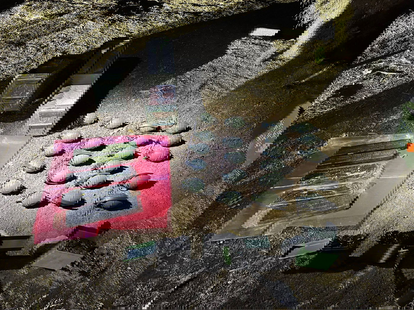 האמל"ח שנתפס