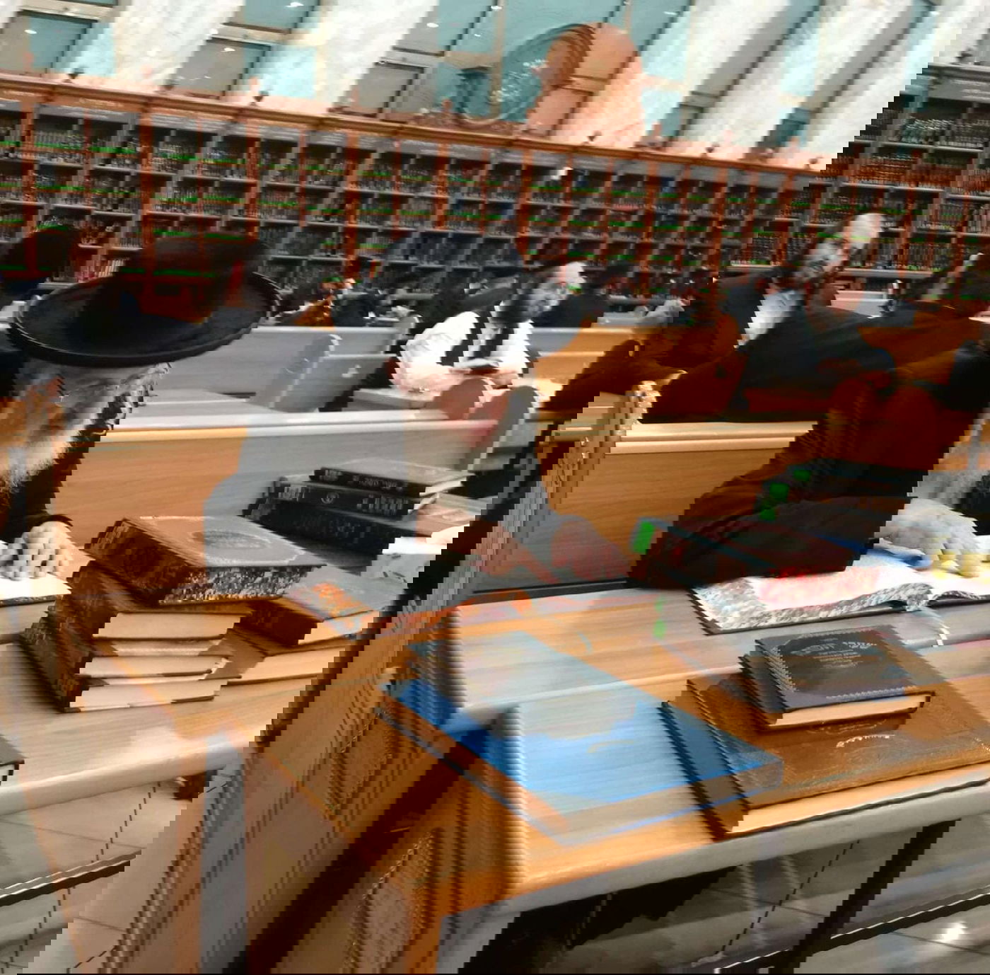 הוגה בתוה"ק בביהמ"ד סאטמר