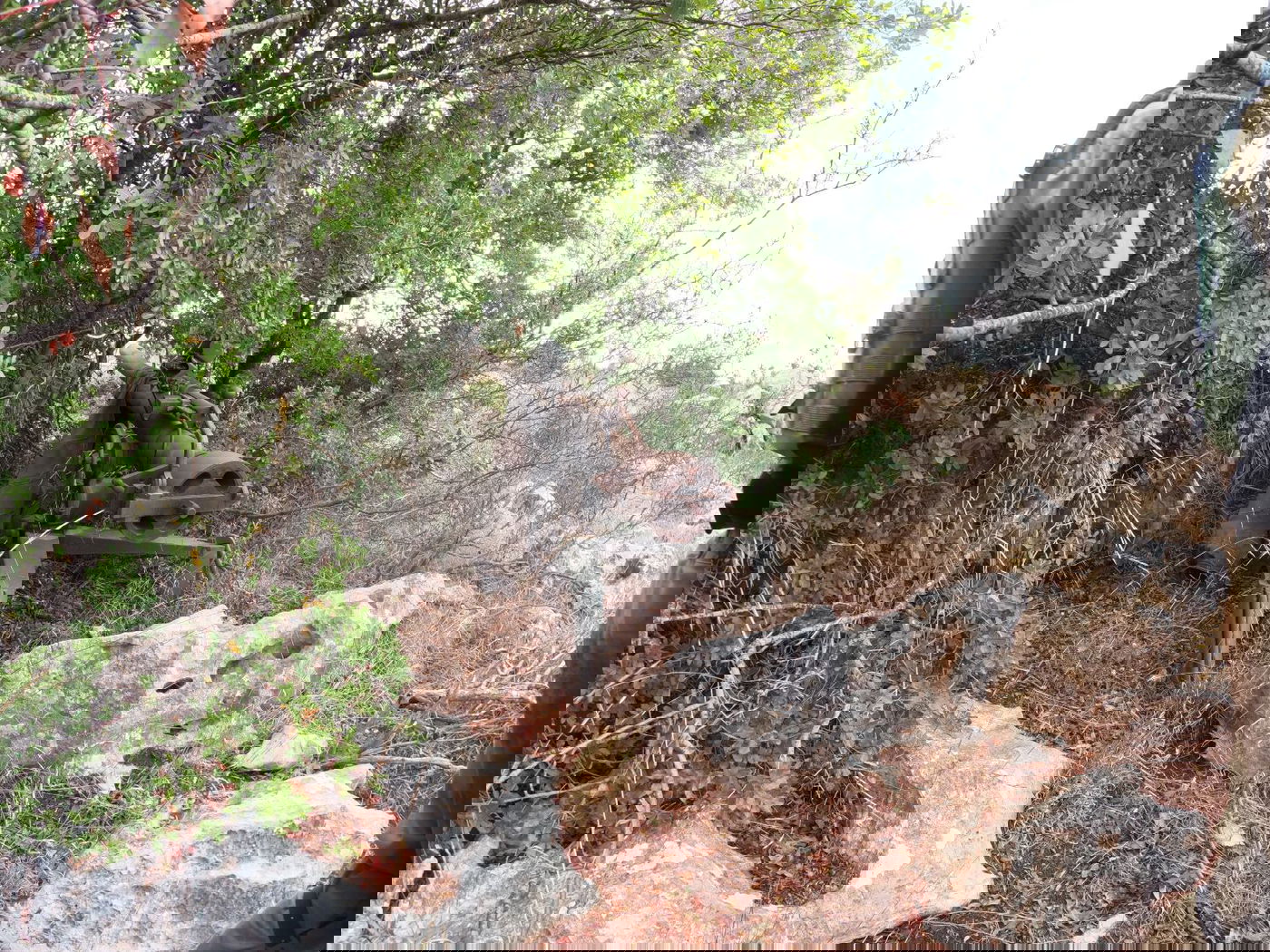 התותח בייצור איראני שאותר בין העצים והוחרם