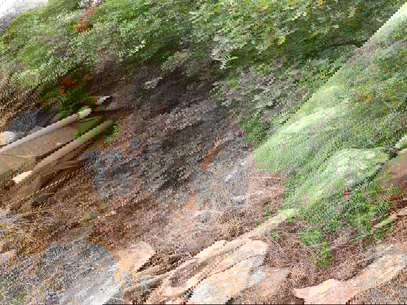 התותח בייצור איראני שאותר והוחרם