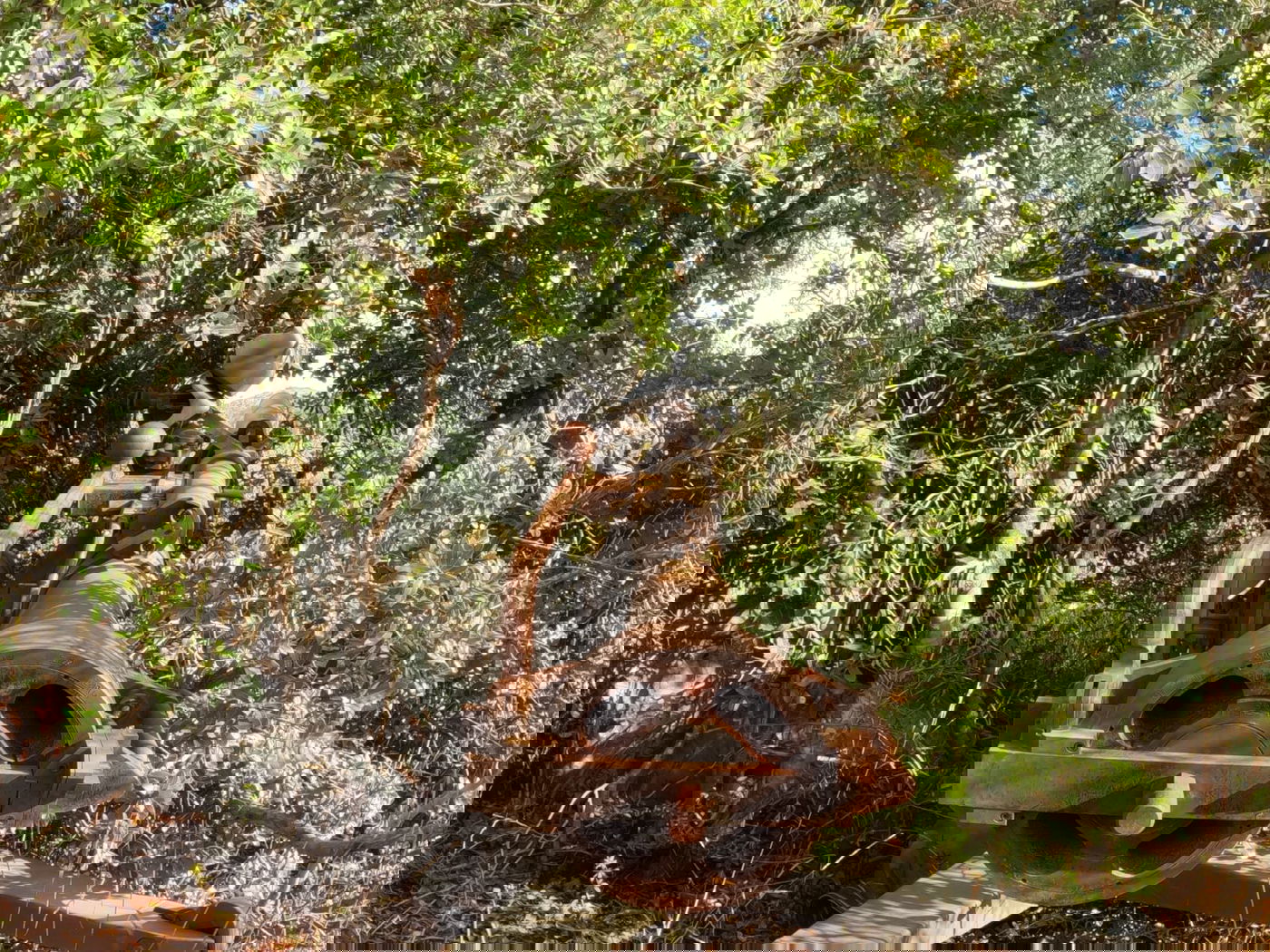 תותח בייצור איראני אותר במתחם טרור בלבנון | צפו בתיעוד