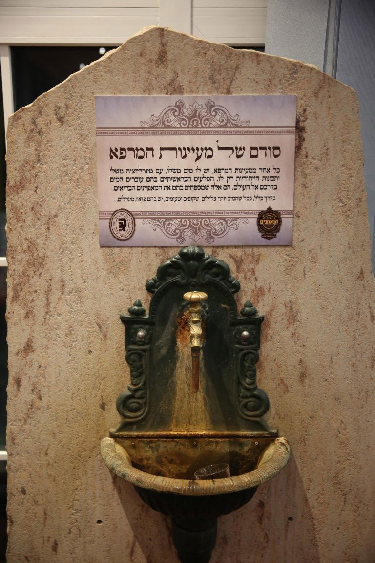 האדמו"ר מסערט ויז'ניץ במארינבארד 