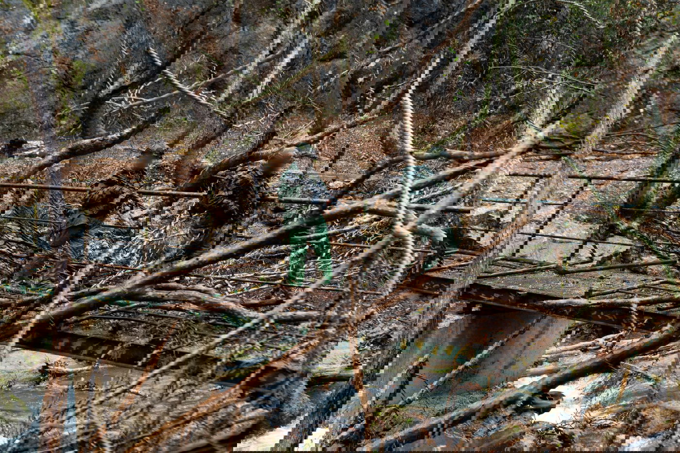 כוחות צה"ל על הליטאני בלבנון