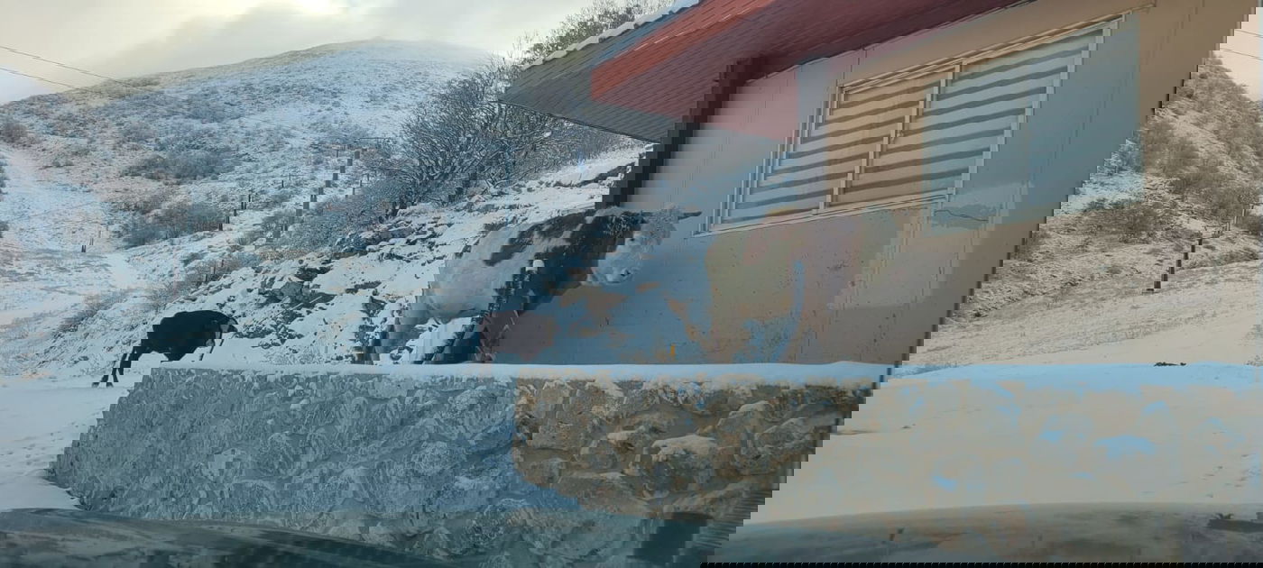 השלג הראשון בחרמון