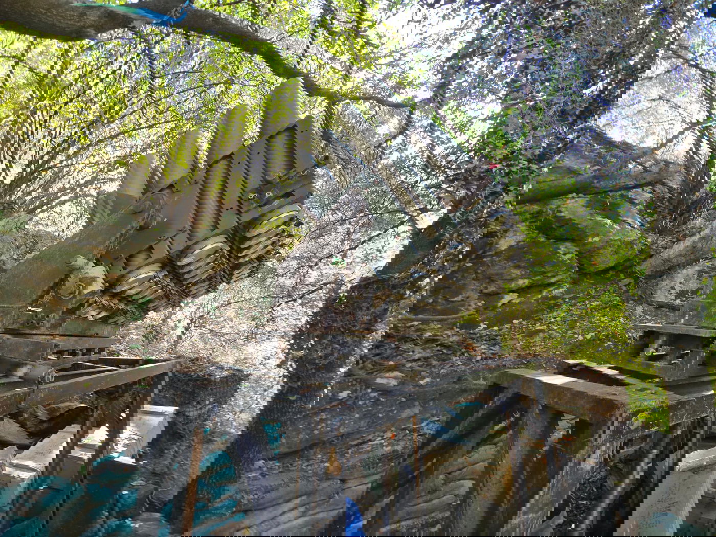 בתום קרבות עזים - ליטאני בידינו: צה"ל הגיע לראשונה במלחמה לנהר המדובר בלבנון