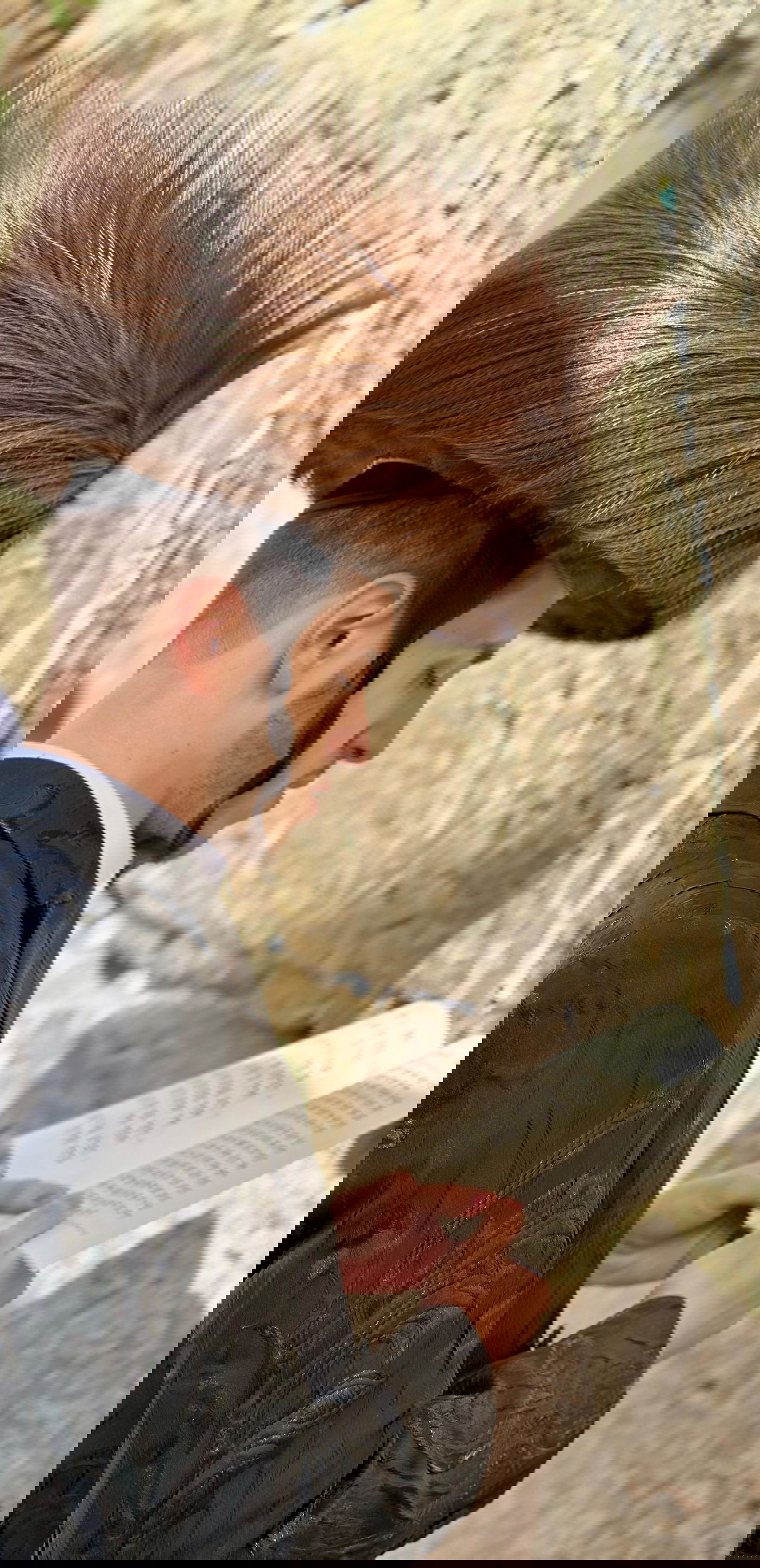 שמוליק סוכות בכותל