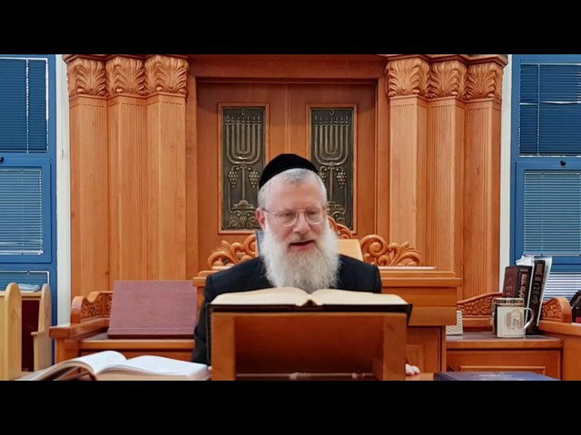 הרב אברהם יוסף שוורץ, על פרשת תולדות