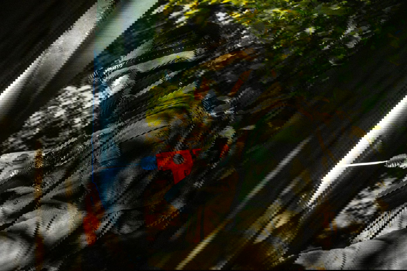 פעילות הכוחות למיפוי בית המחבל