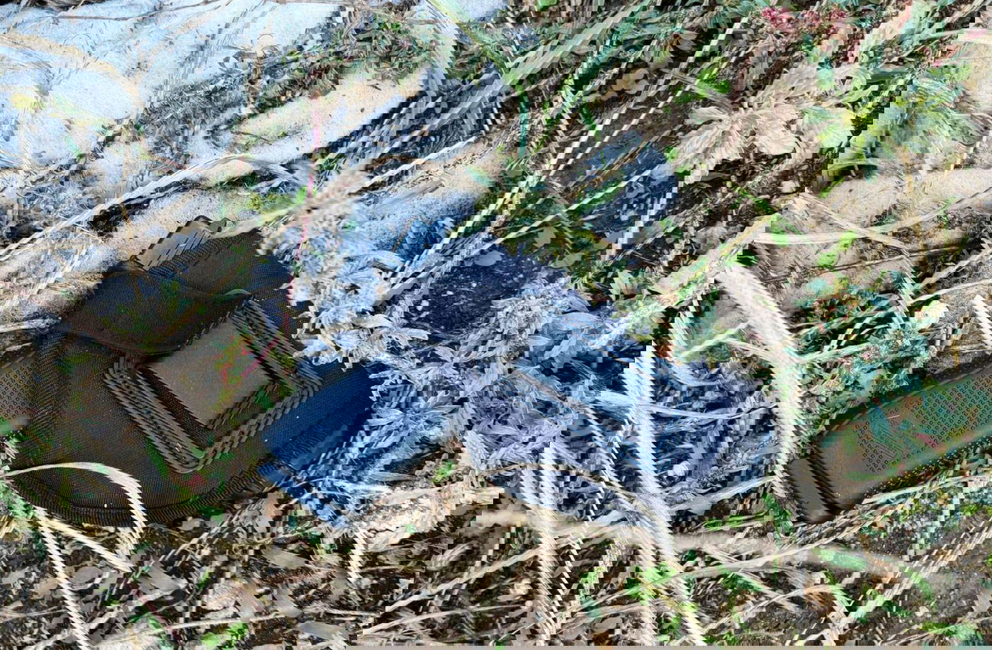 האקדחים שנתפסו