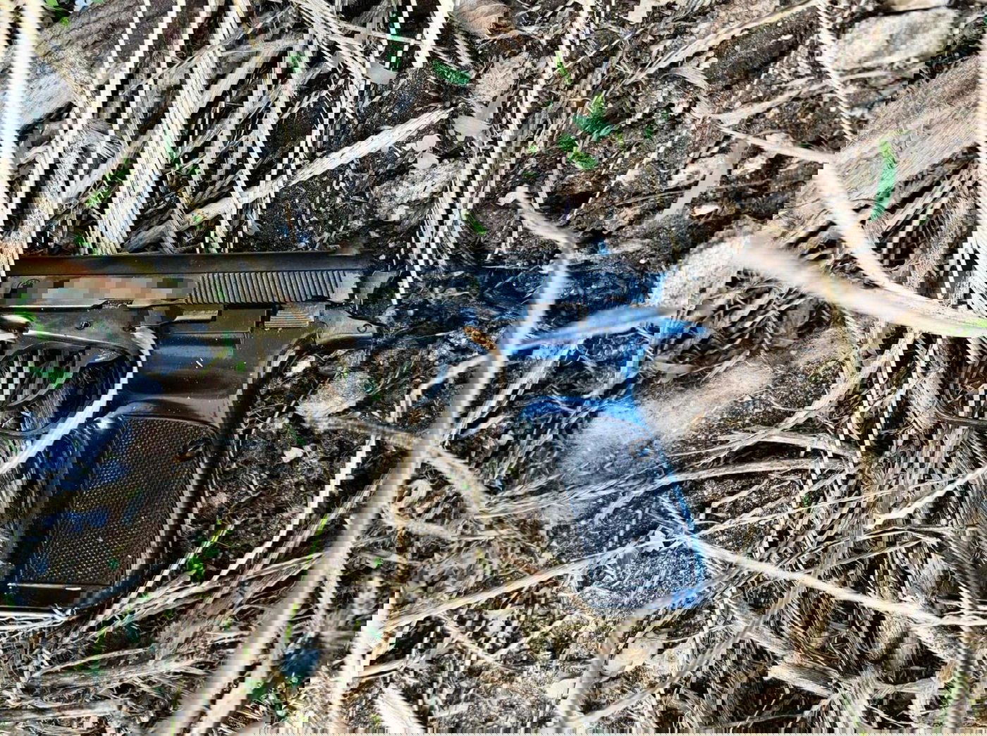 האקדחים שנתפסו