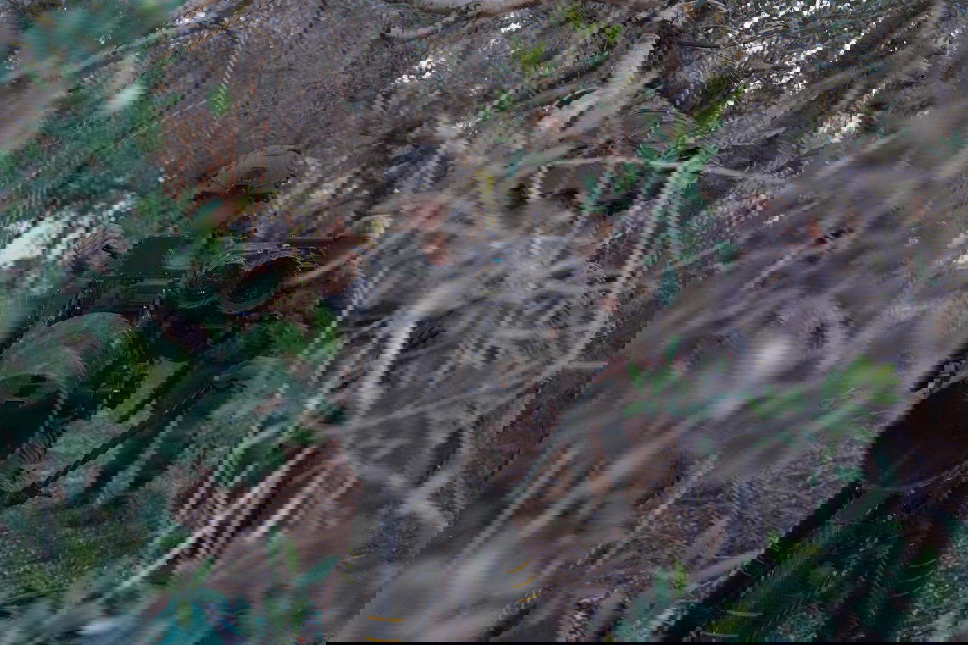 פעילות צה"ל בלבנון