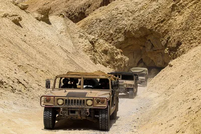 שיירת עקרבים