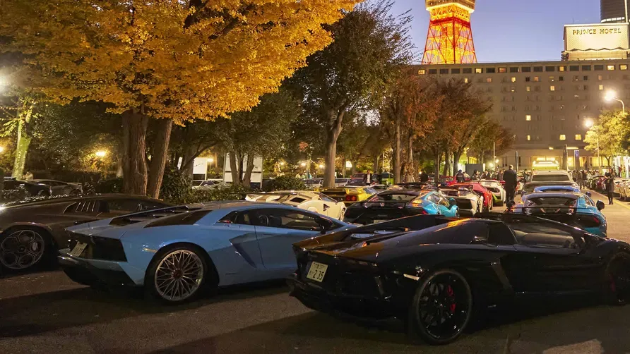 חלק מהרכבים בשיירה