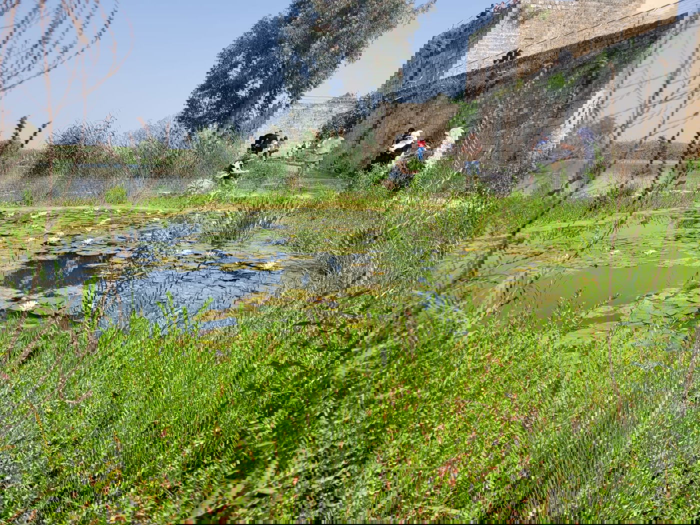 שמורת טבע עין אפק