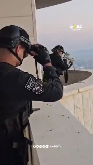 הצלפים על הגגות