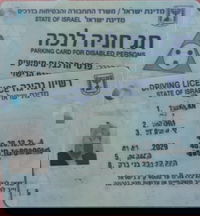 רישיון ותג נכה