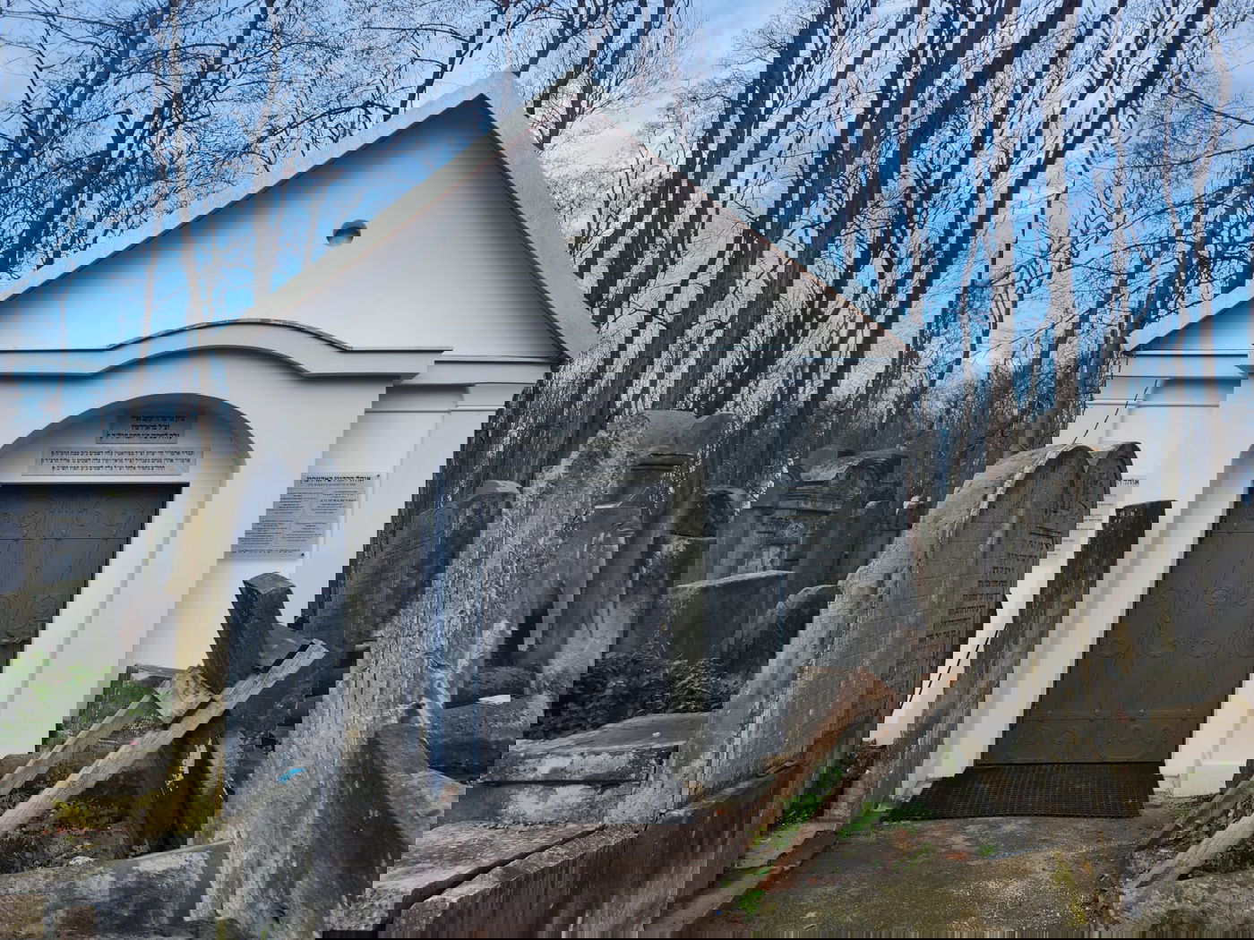 לֹּא יִכְבֶּה נֵרוֹ לְעוֹלָם וָעֶד | הפרויקט האישי של האדמו"ר הולך ונשלם לתפארת