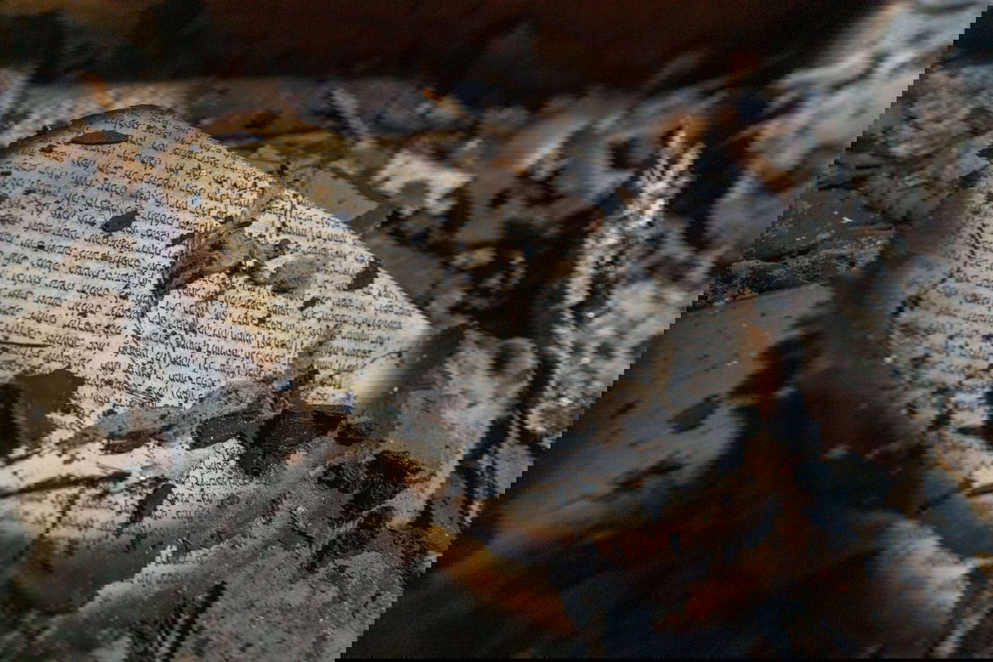 ראש הממשלה האוסטרלי ביקר בבית הכנסת - וספג נאצות