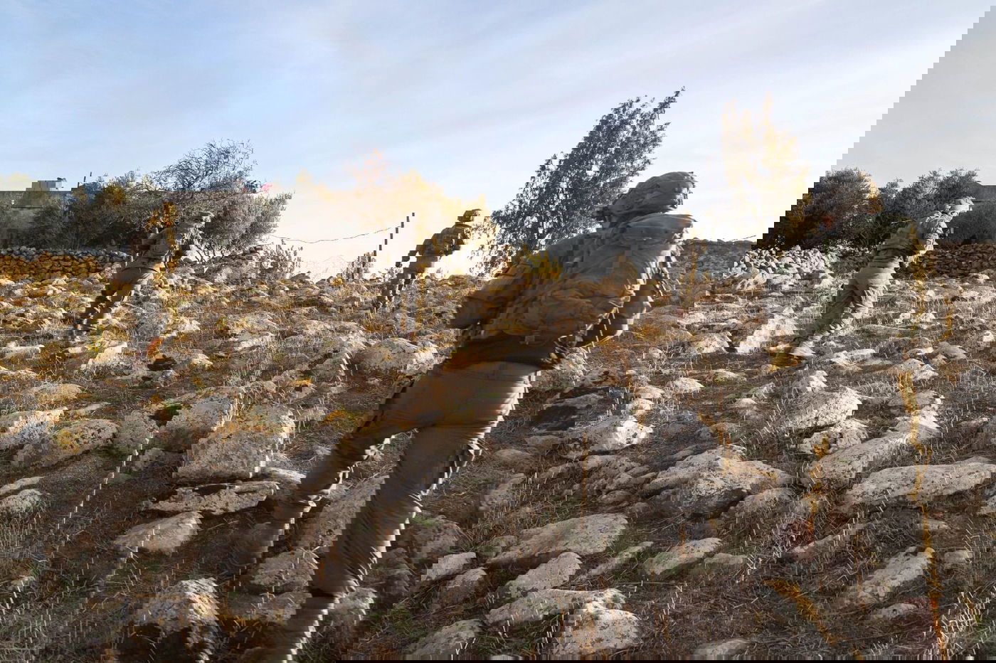 כוחות צה"ל בסוריה