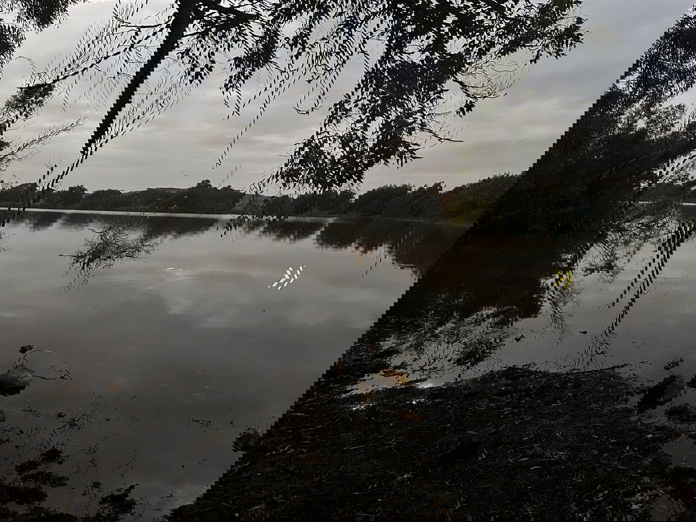 תל כודנה בסוריה, בעיניים של לוחמי צה"ל