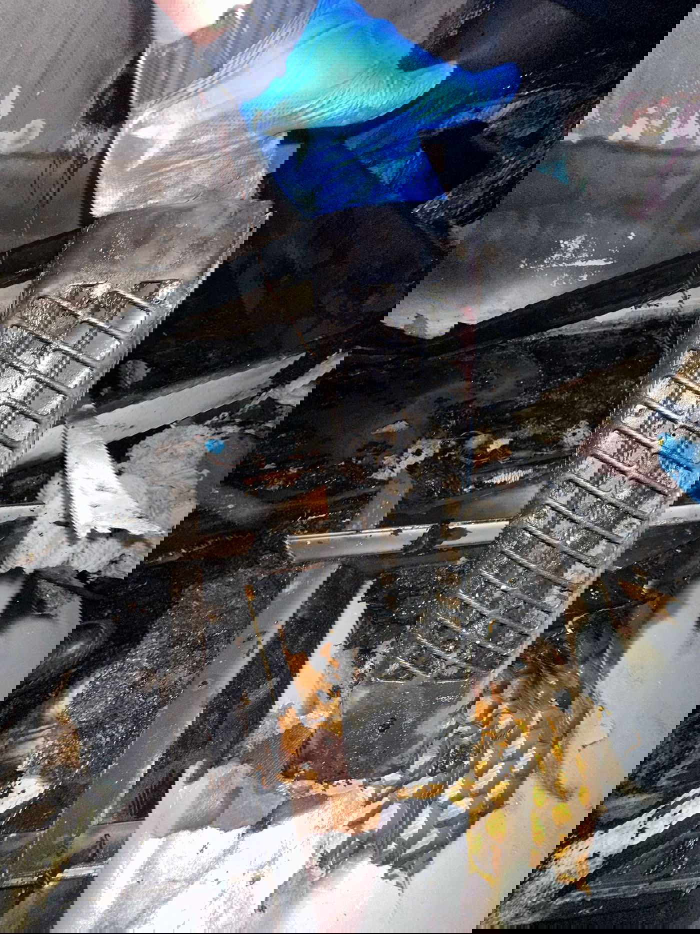 השריפה בבית