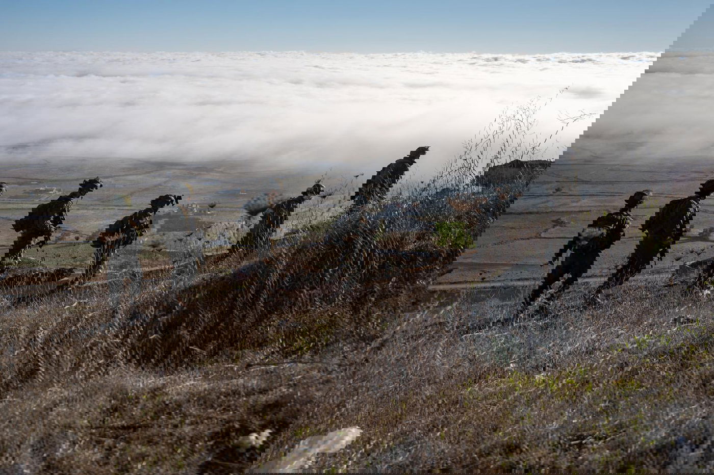 כוחות צה"ל והאמל"ח שנתפס