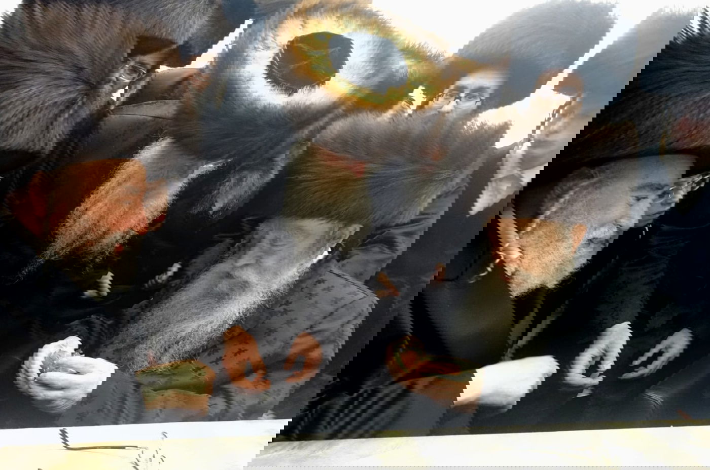 האדמו"ר מפשעווארסק מעניק צידה לדרך להגרי"מ ארלנגר 