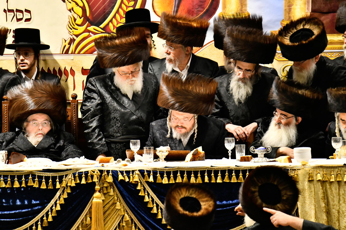 שמחת אירוסי נכדת האדמו"ר מבעלזא