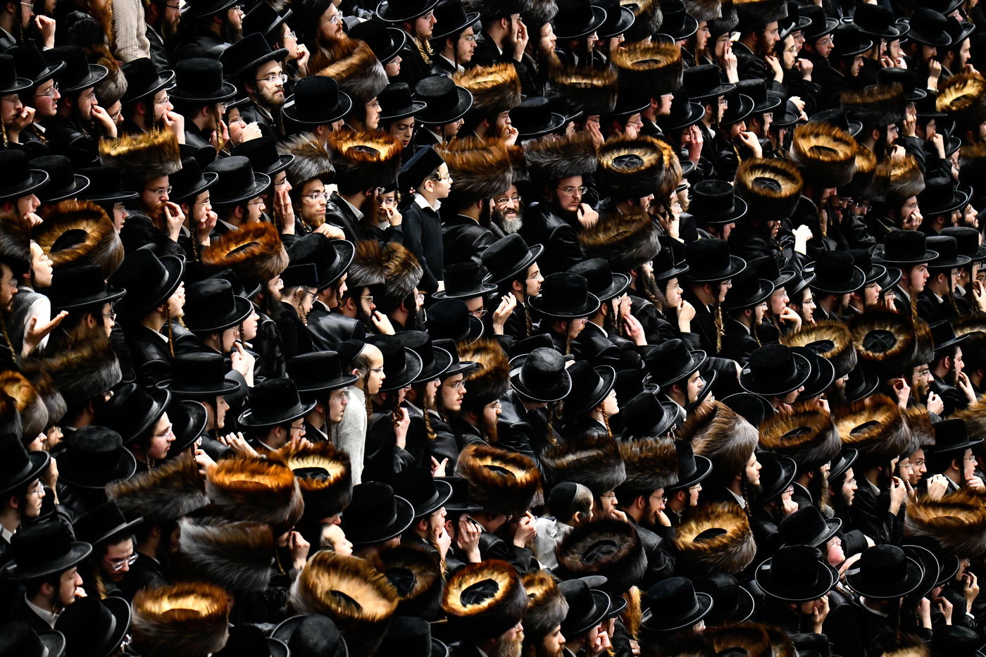 שמחת אירוסי נכדת האדמו"ר מבעלזא