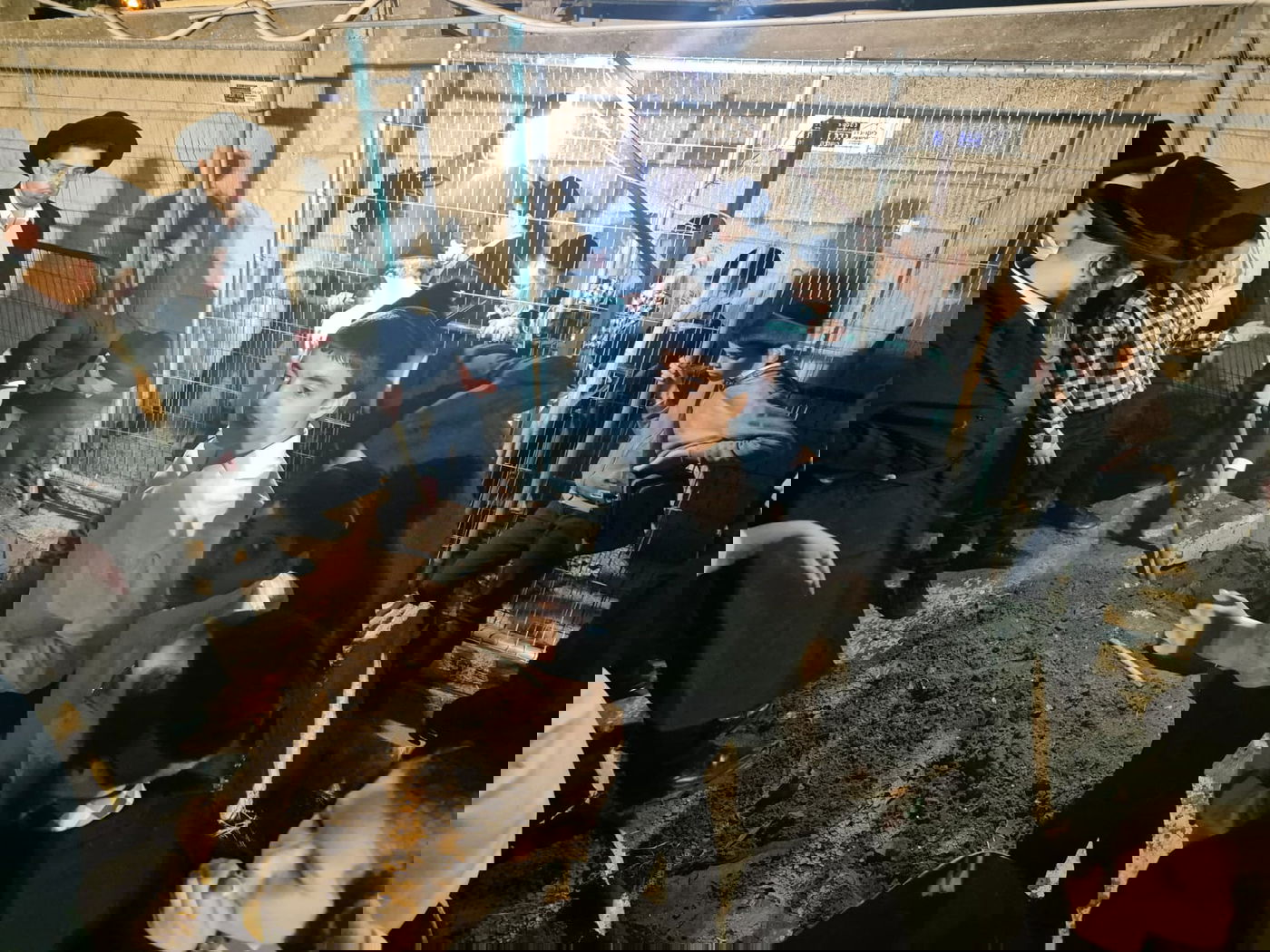 הקבר שנחפר בויז'ניץ