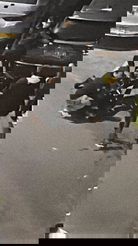 מעצר החשוד ברעננה