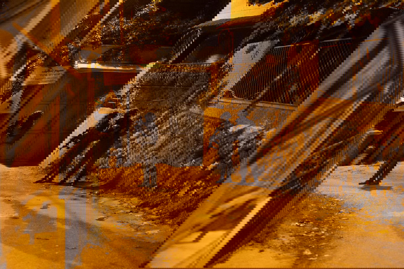 הפעילות בכפר