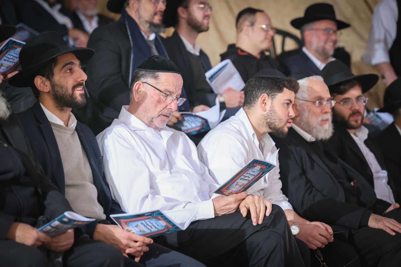 מסיבת חומש ברכסים