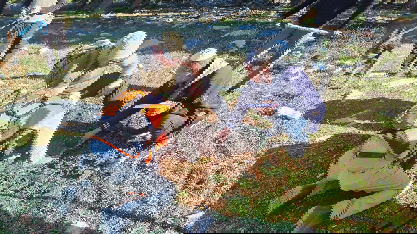 מבצע החיפושים אחר חמשת הנעדרים