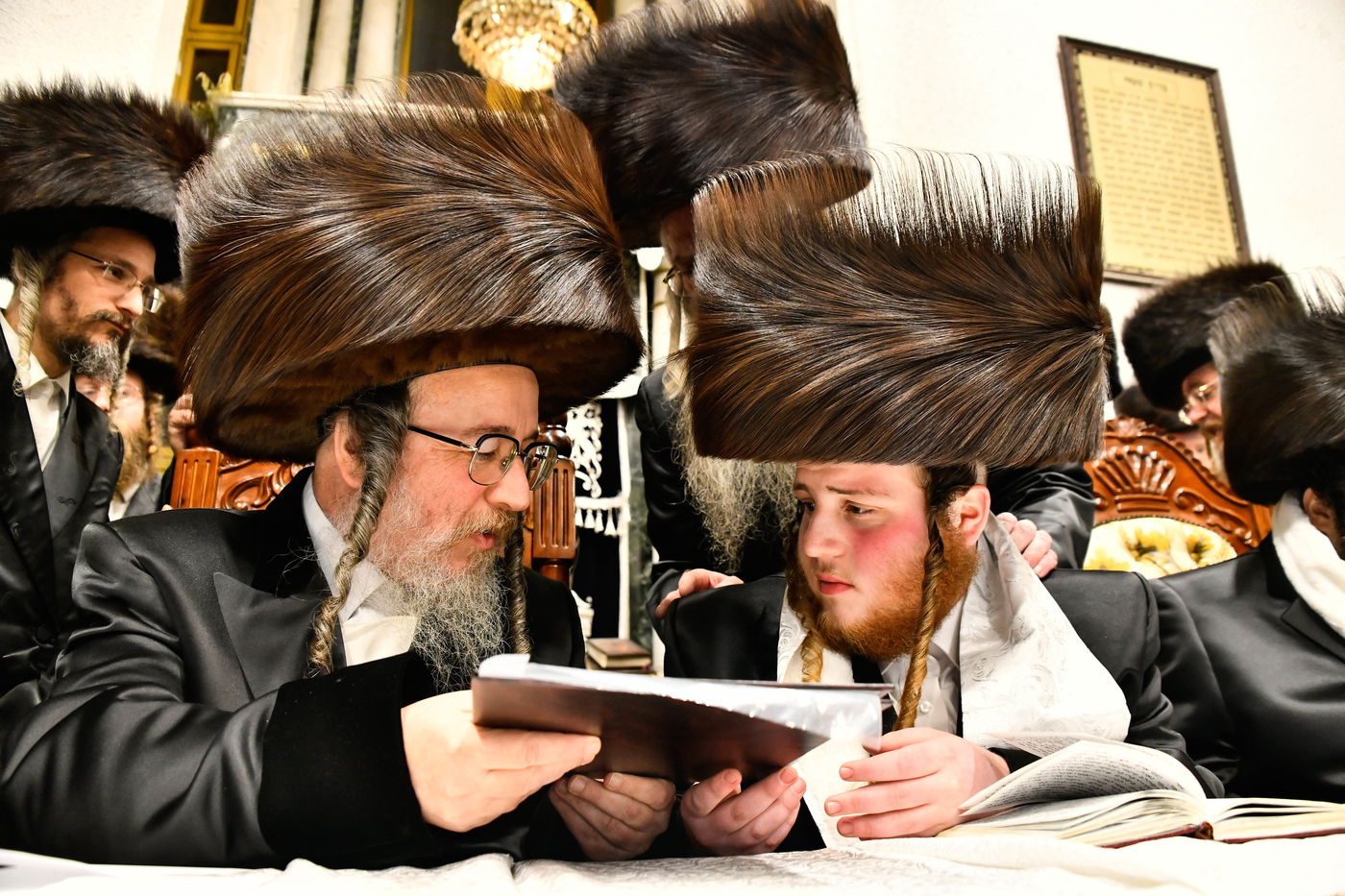 שמחת נישואי בן האדמו"ר מביאלה ב"ב