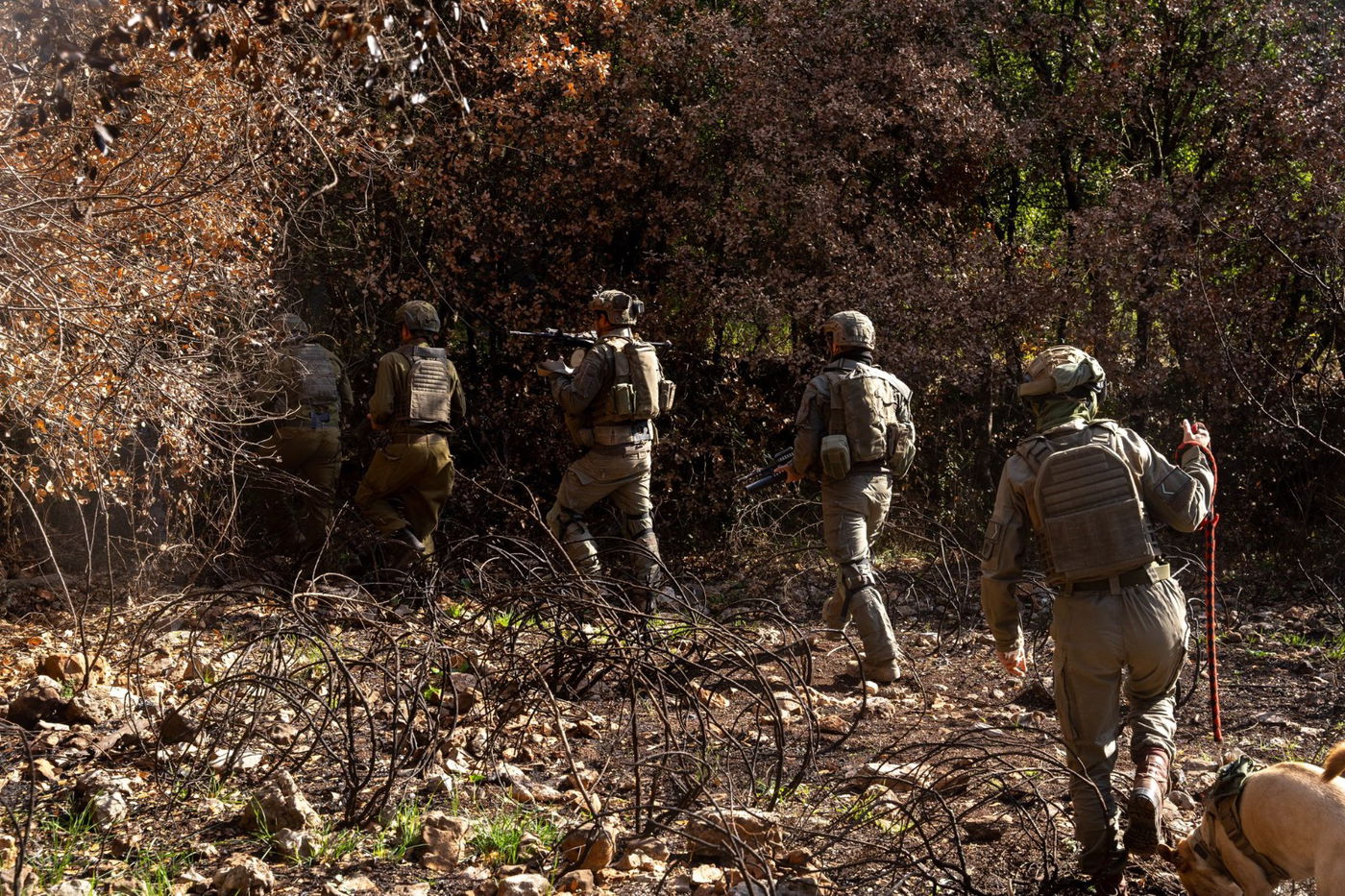 אמצעי הלחימה הרבים שנתפסו בדרום לבנון